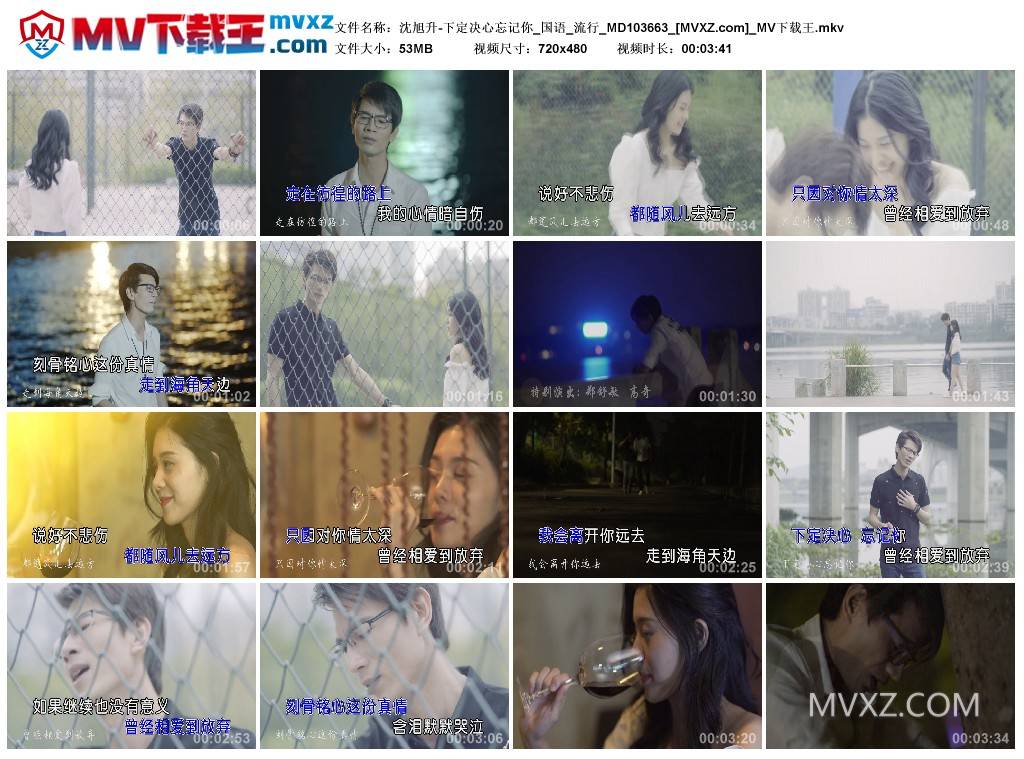 沈旭升-下定决心忘记你_国语_流行_MD103663